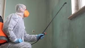 Why You Should Choose Our Mold Remediation Services in Selinsgrove, PA